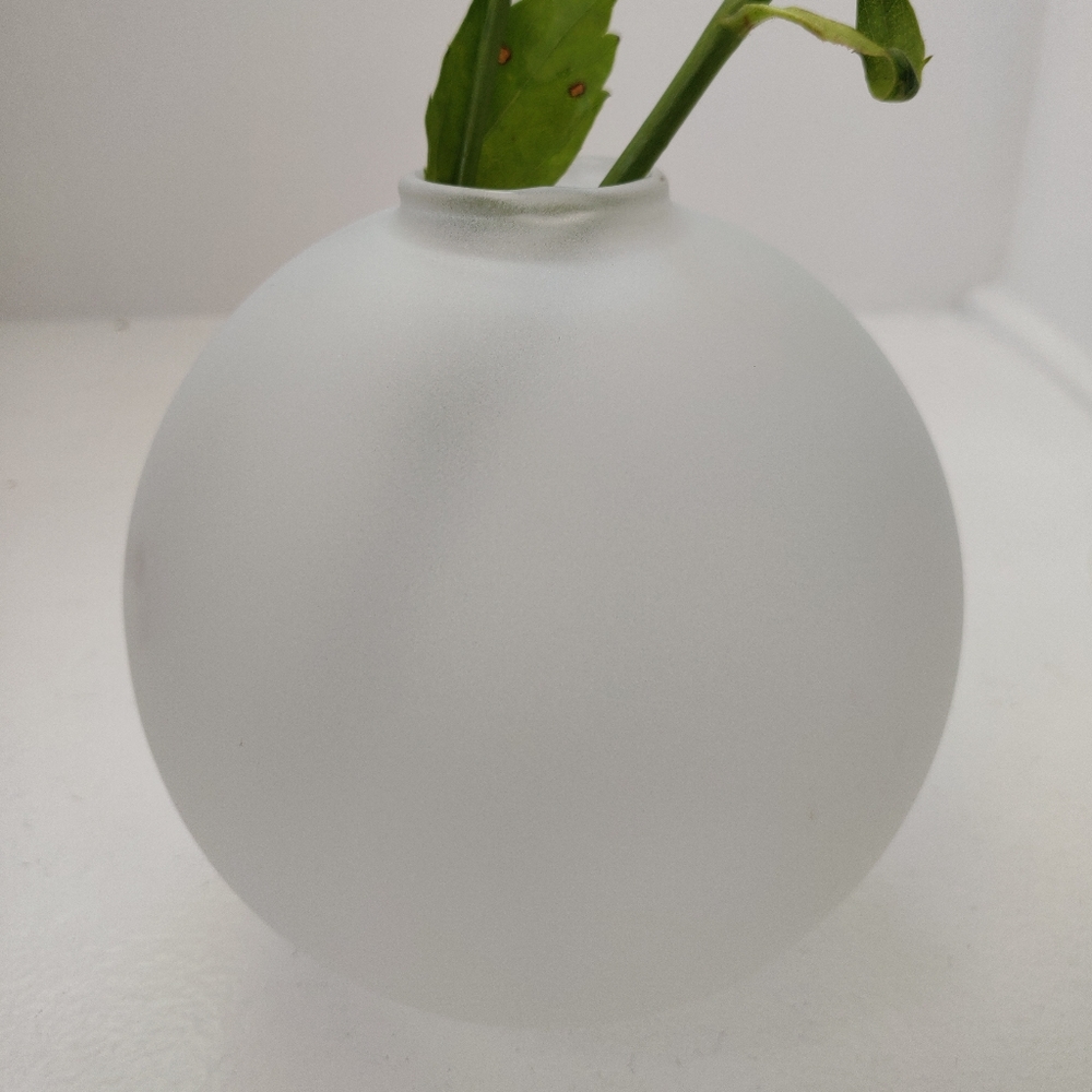 Circle Flower Frosted Vases